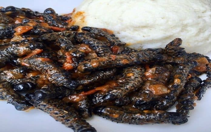 Madora - Mopane Worms